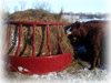 Bale Feeders